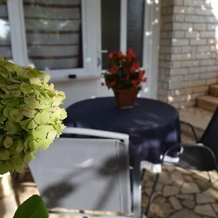 Apartment Galli *